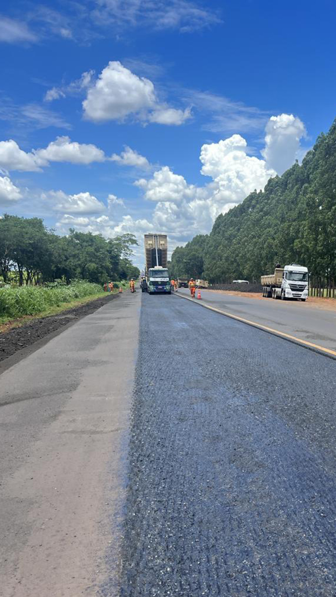 Ligação Barretos – Guaíra — foto 1