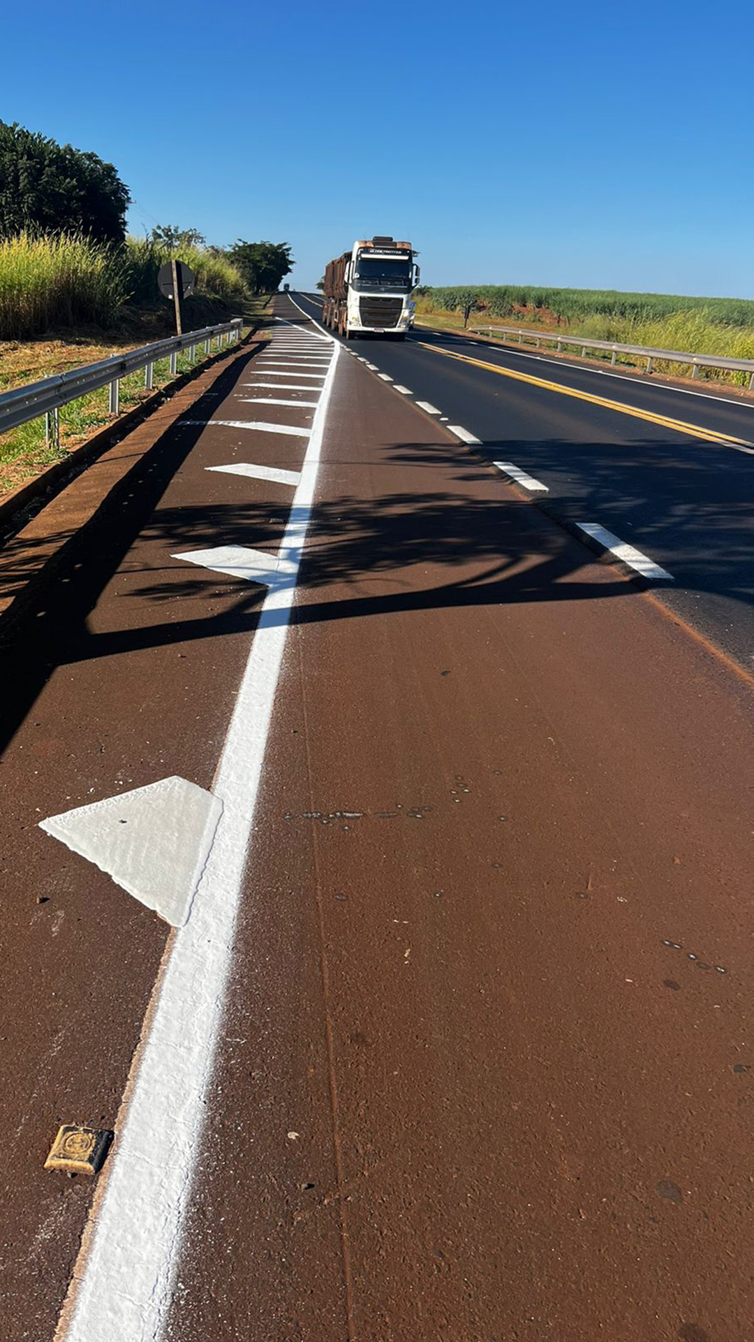 Ligação Barretos – Guaíra — foto 2